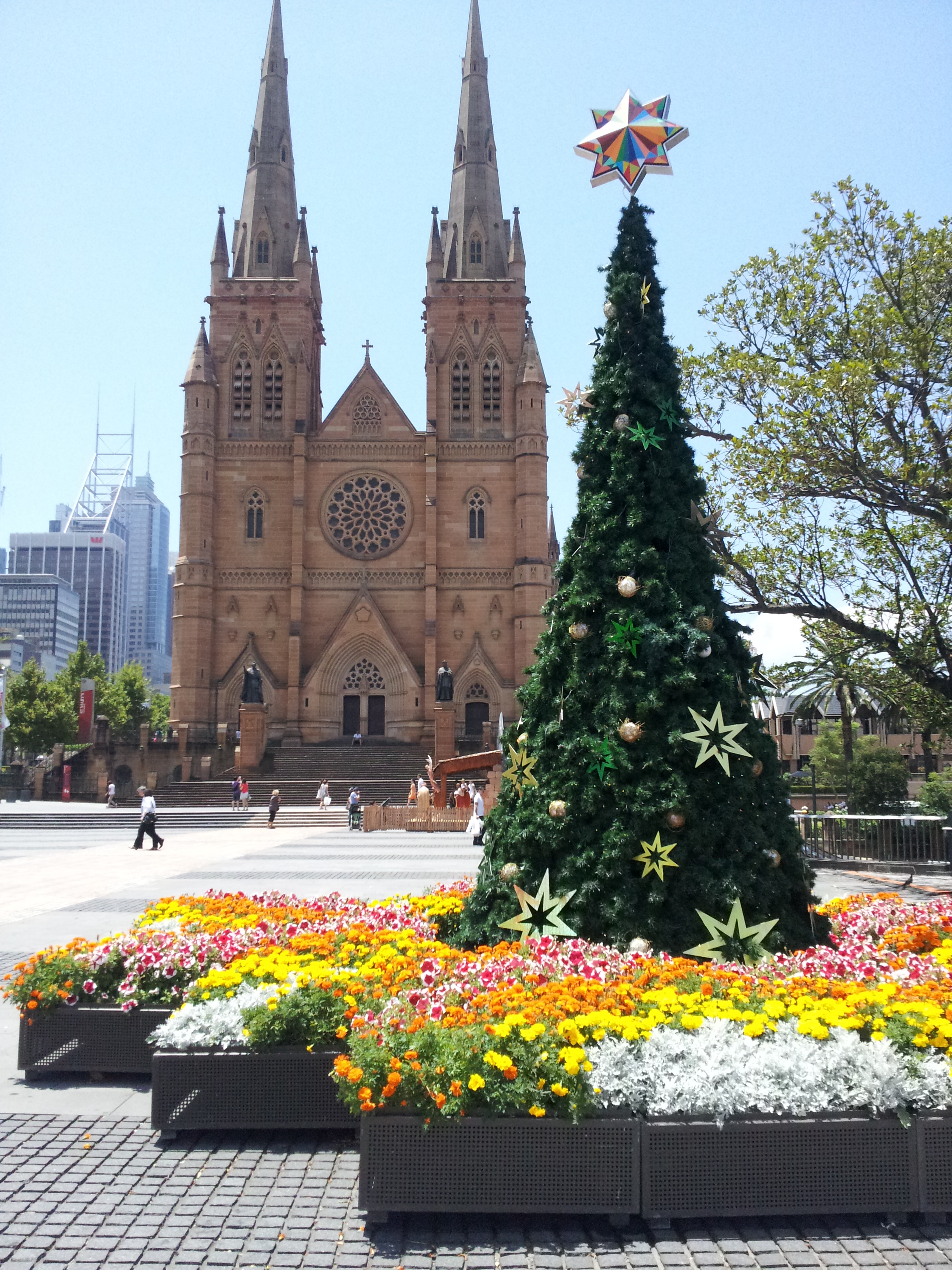 オーストラリアのクリスマスはいつ 過ごし方や料理 飾りは ３６５日のお役立ち情報