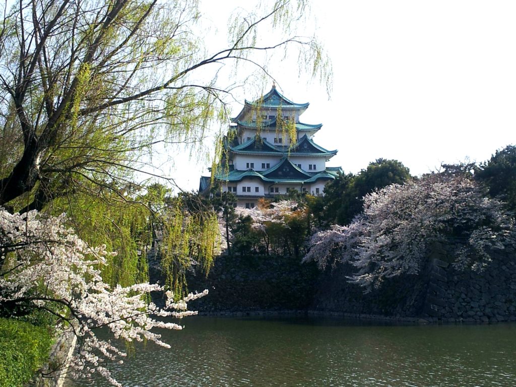 名古屋城の桜の見頃と絶景スポット ライトアップ情報 ３６５日のお役立ち情報
