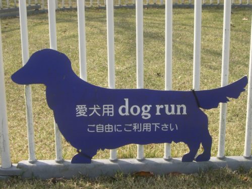 犬連れ　宿