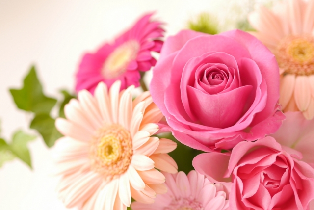 母の日にふさわしい花言葉 感謝を伝えたい時に渡すお花はこれ ３６５日のお役立ち情報