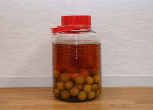 梅酒の梅