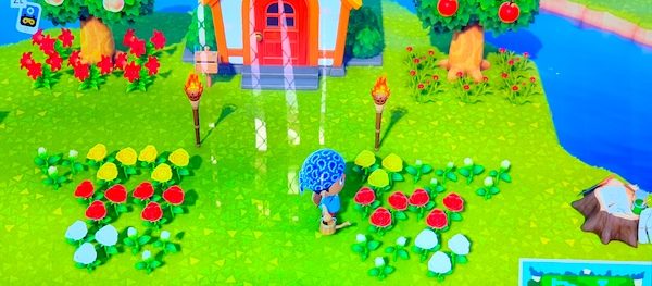 あつまれどうぶつの森　