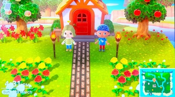 あつまれどうぶつの森