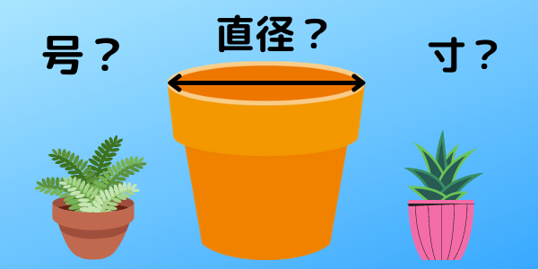 鉢のサイズと種類 どの植木鉢を選べばいいのかがわかります ３６５日のお役立ち情報