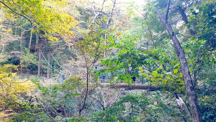 高尾山　4号路　吊り橋
