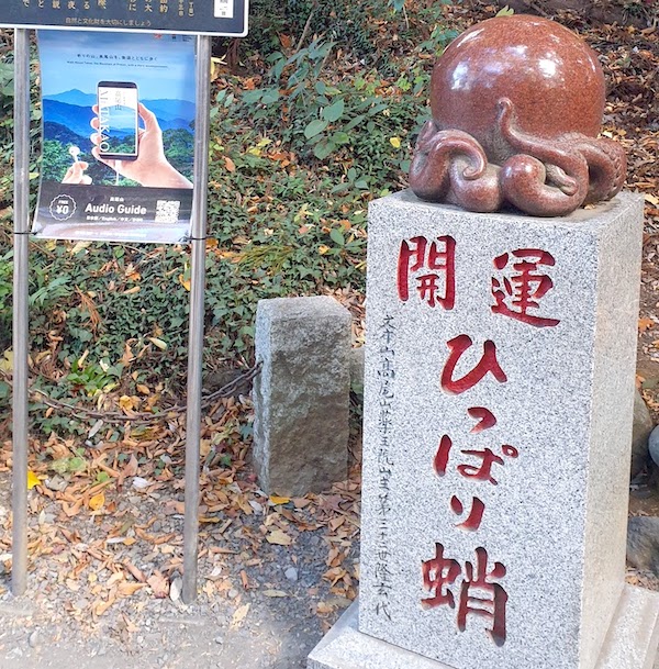 高尾山　開運ひっぱり蛸