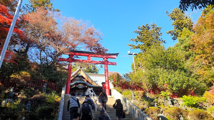 高尾山薬王院　鳥居