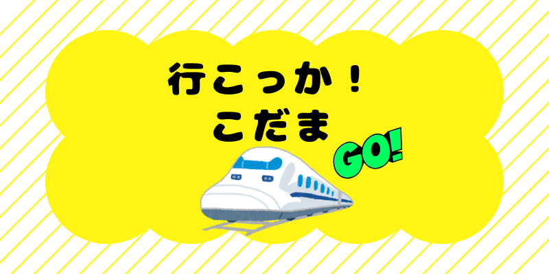 行こっかこだま